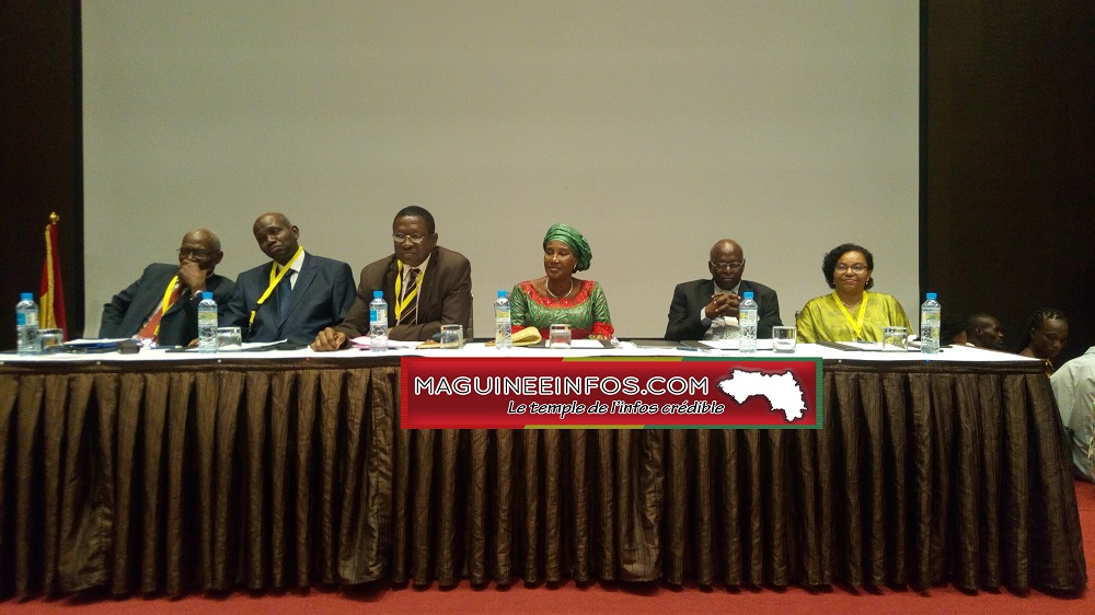 Santé: les professionnels de l'Afrique francophone à conakry pour ...