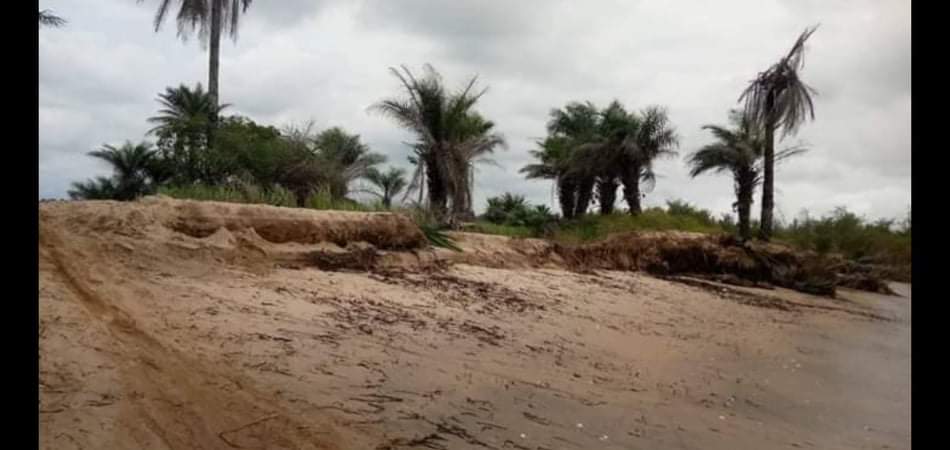 received_297059928042913