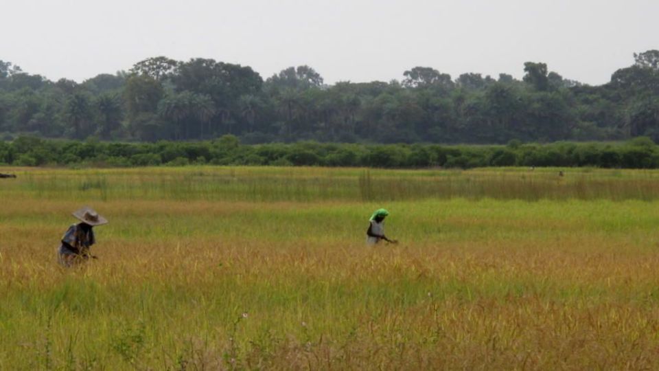 Casamance