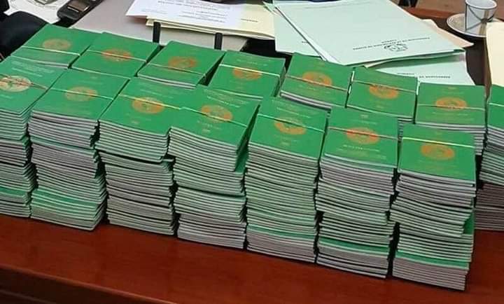 FB_IMG_1644415350464