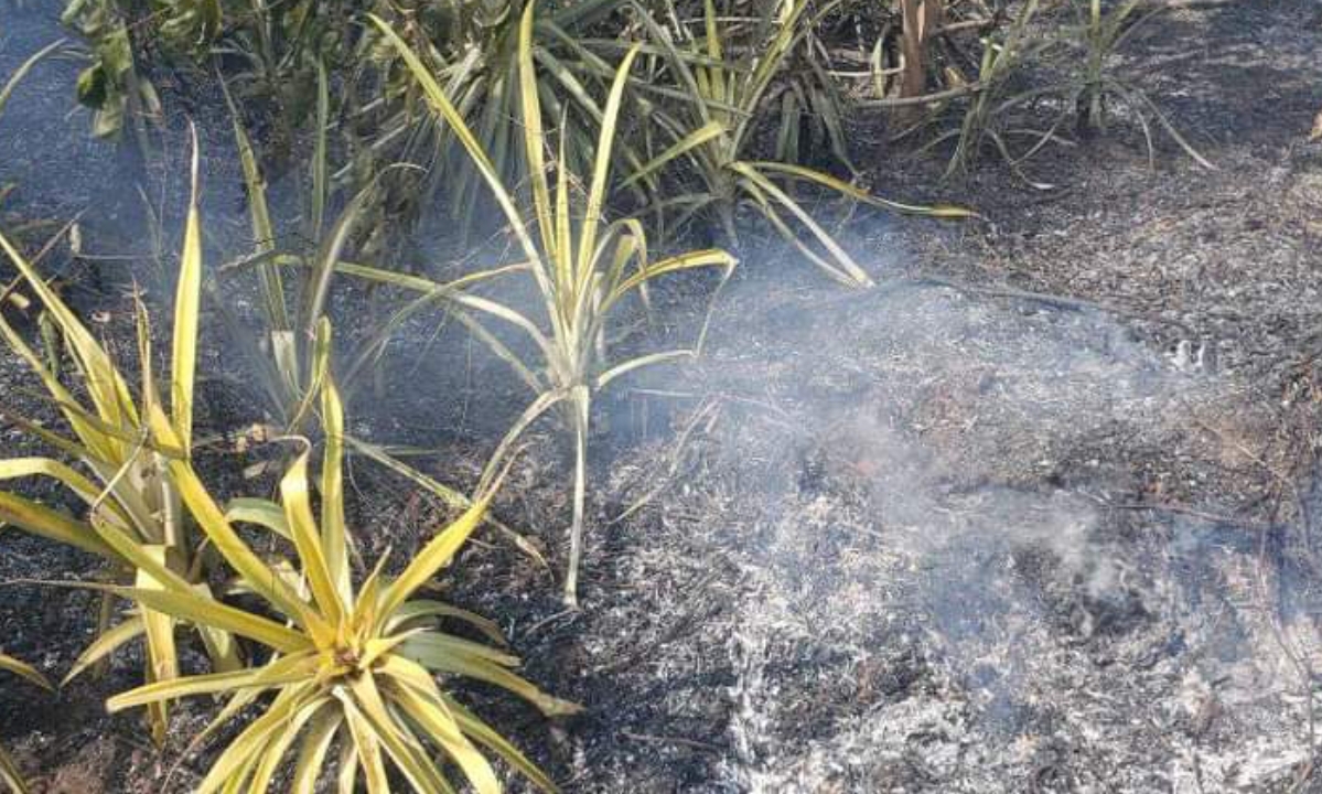 Screenshot_20220210-204853_Gallery