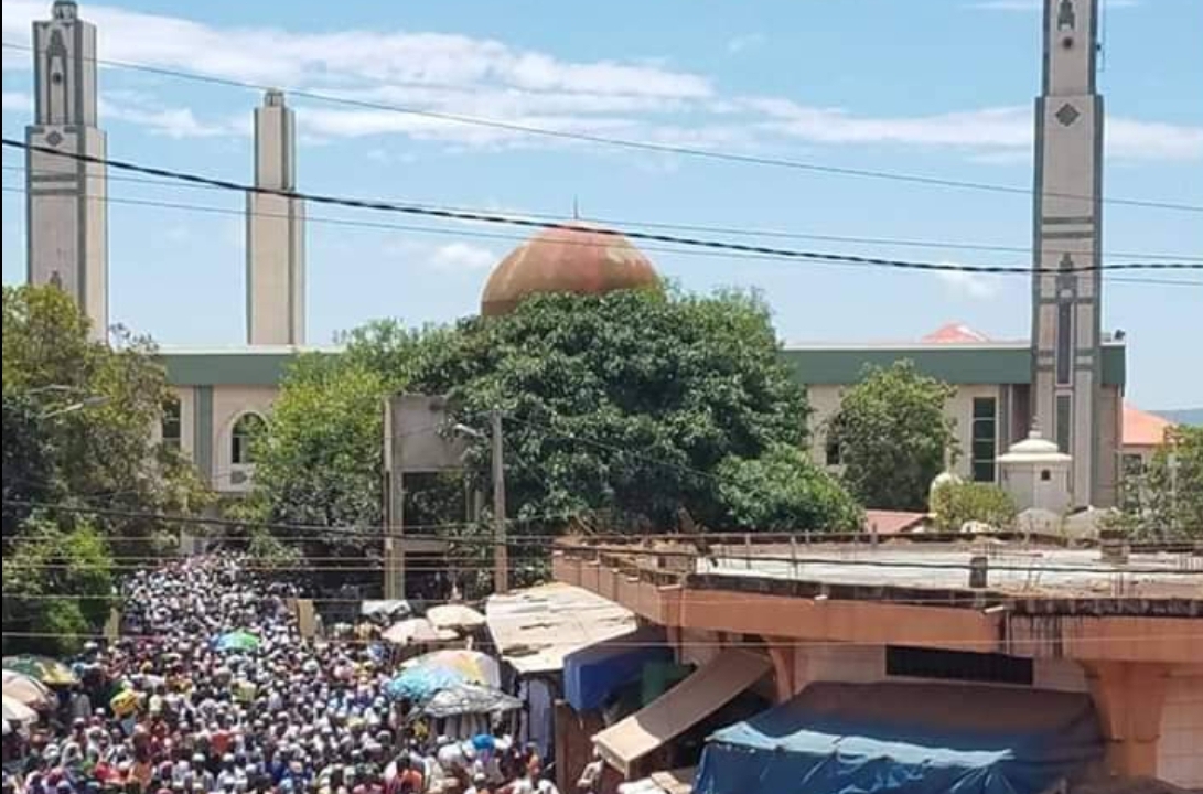 Screenshot_20220221-183906_Gallery