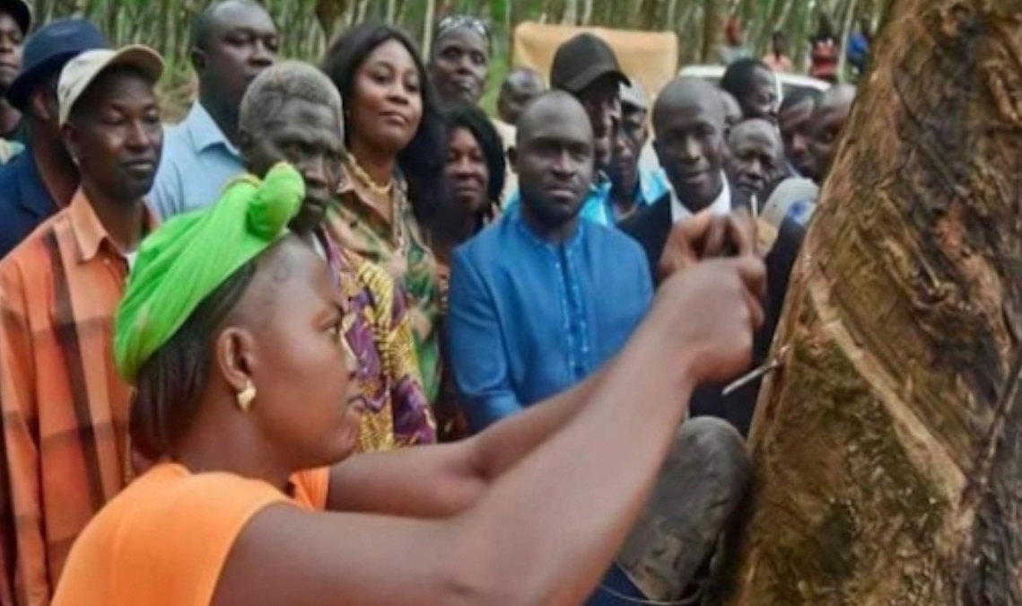 Screenshot_20220416-114218_Gallery