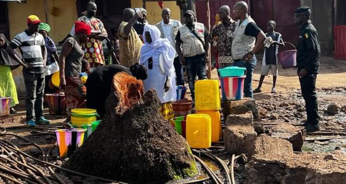 Screenshot_20220421-120818_Gallery